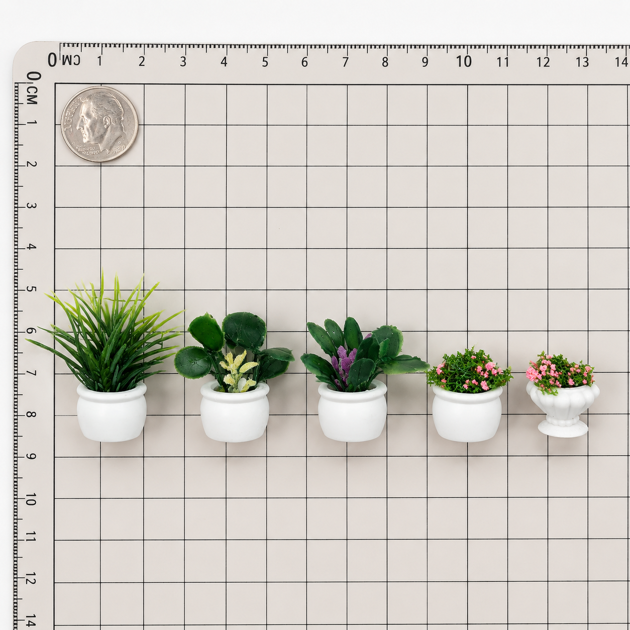 English Cottage Miniature Flowering Plant Set (5-Piece)