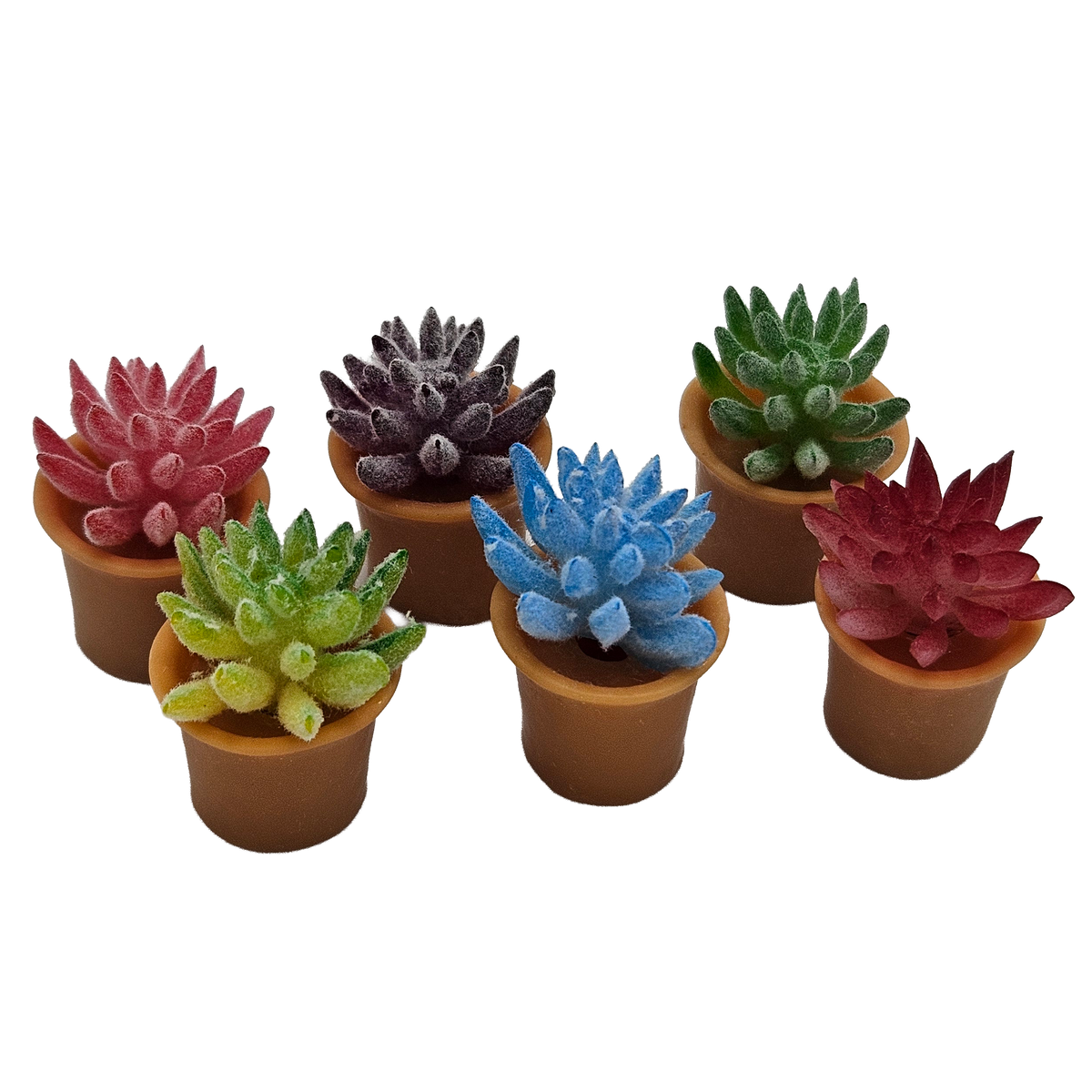 Miniature Potted Succulent Plants Set | 6 Colorful Tiny Plants