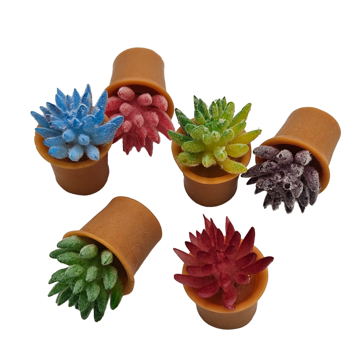 Miniature Potted Succulent Plants Set | 6 Colorful Tiny Plants