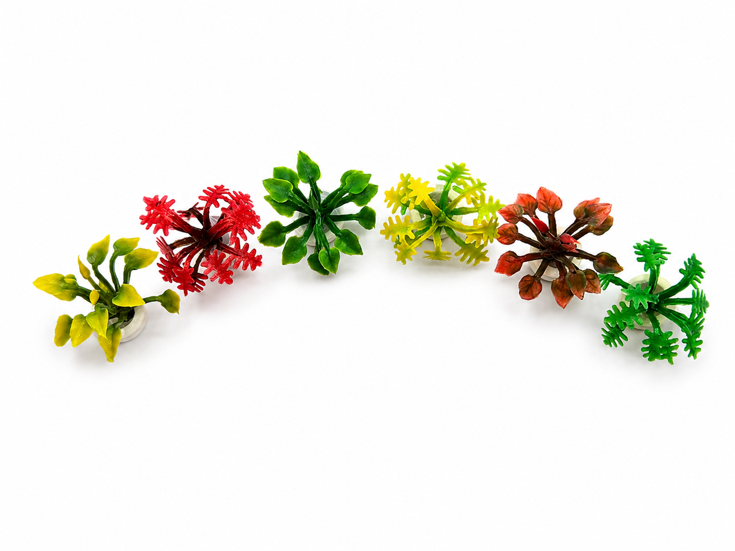 Urban Jungle Miniature Tropical Plant Set (6-Piece)