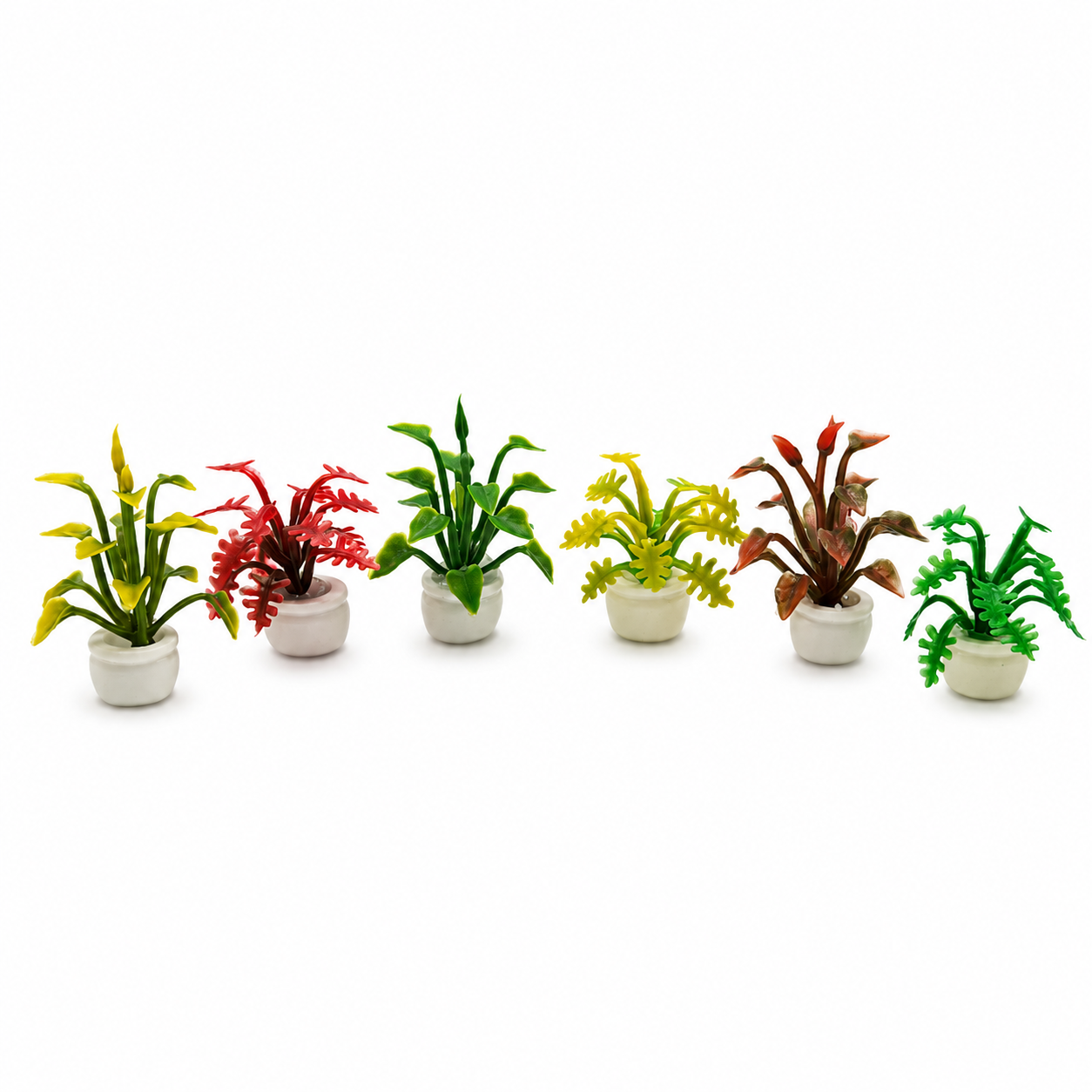 Urban Jungle Miniature Tropical Plant Set (6-Piece)