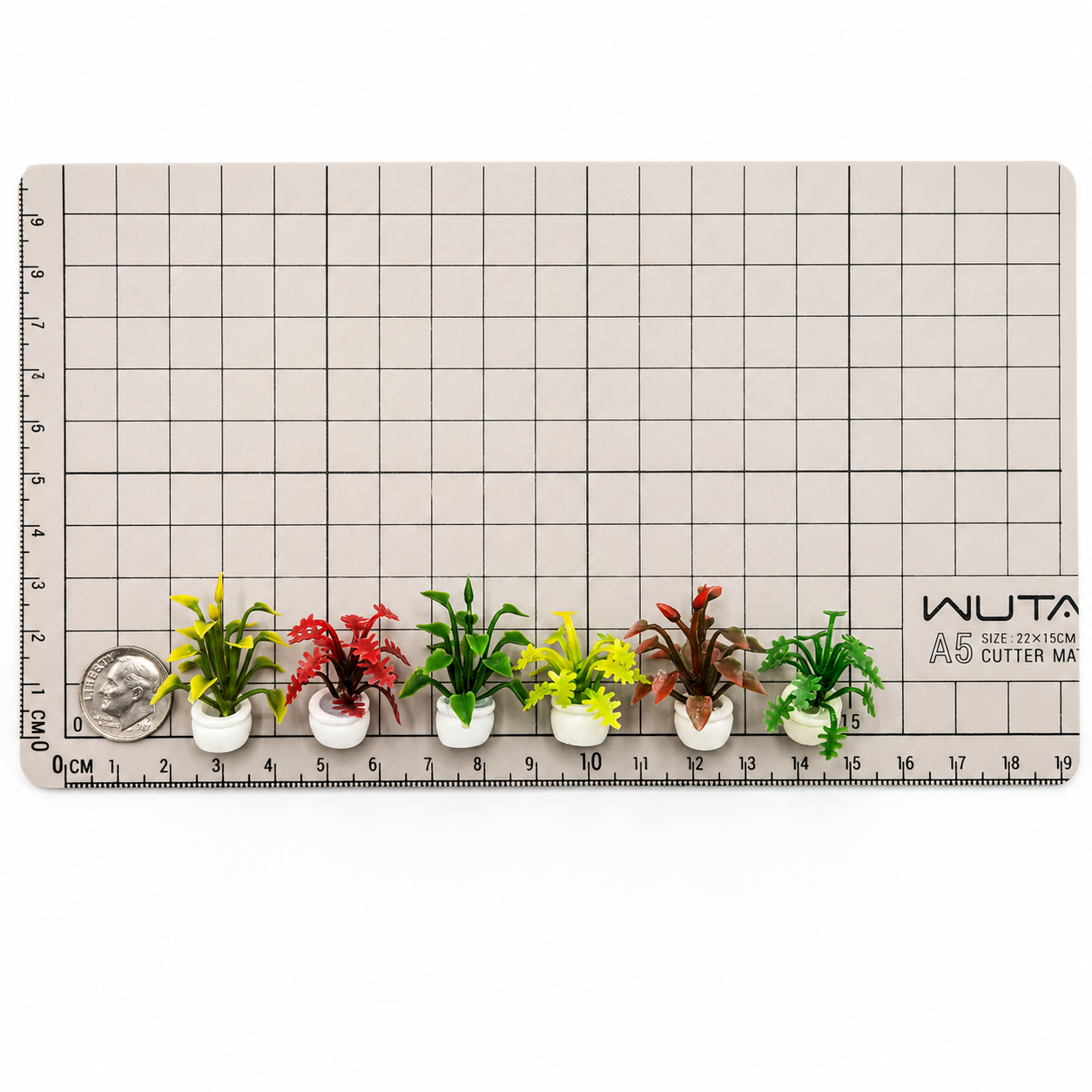 Urban Jungle Miniature Tropical Plant Set (6-Piece)