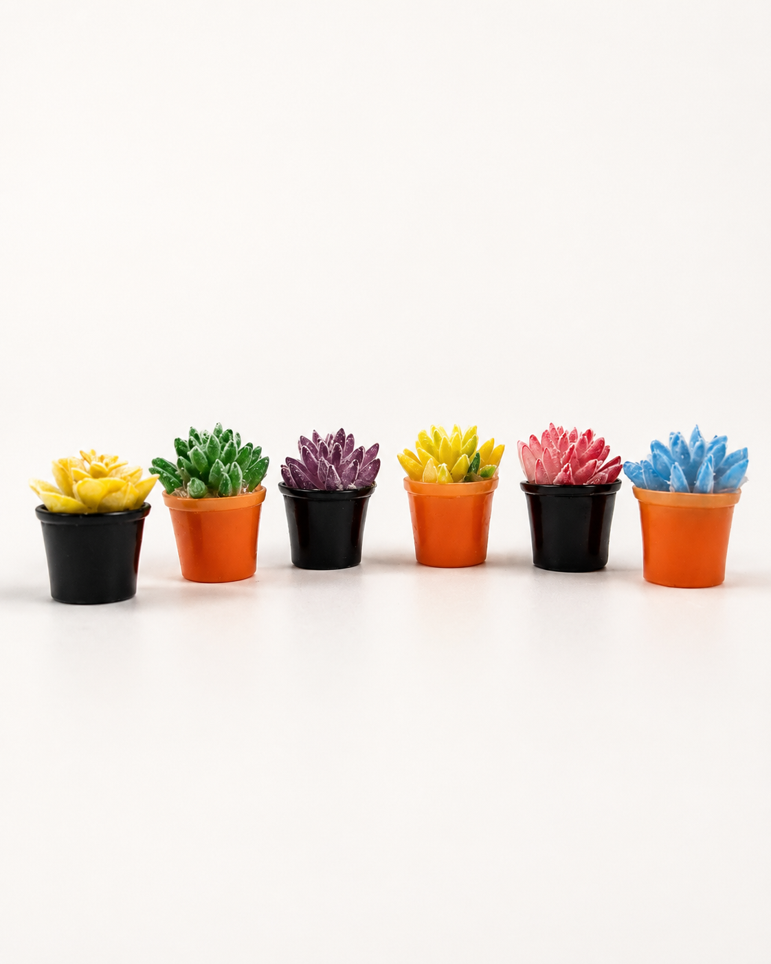A Miniature Succulent Garden Set (6-Piece)