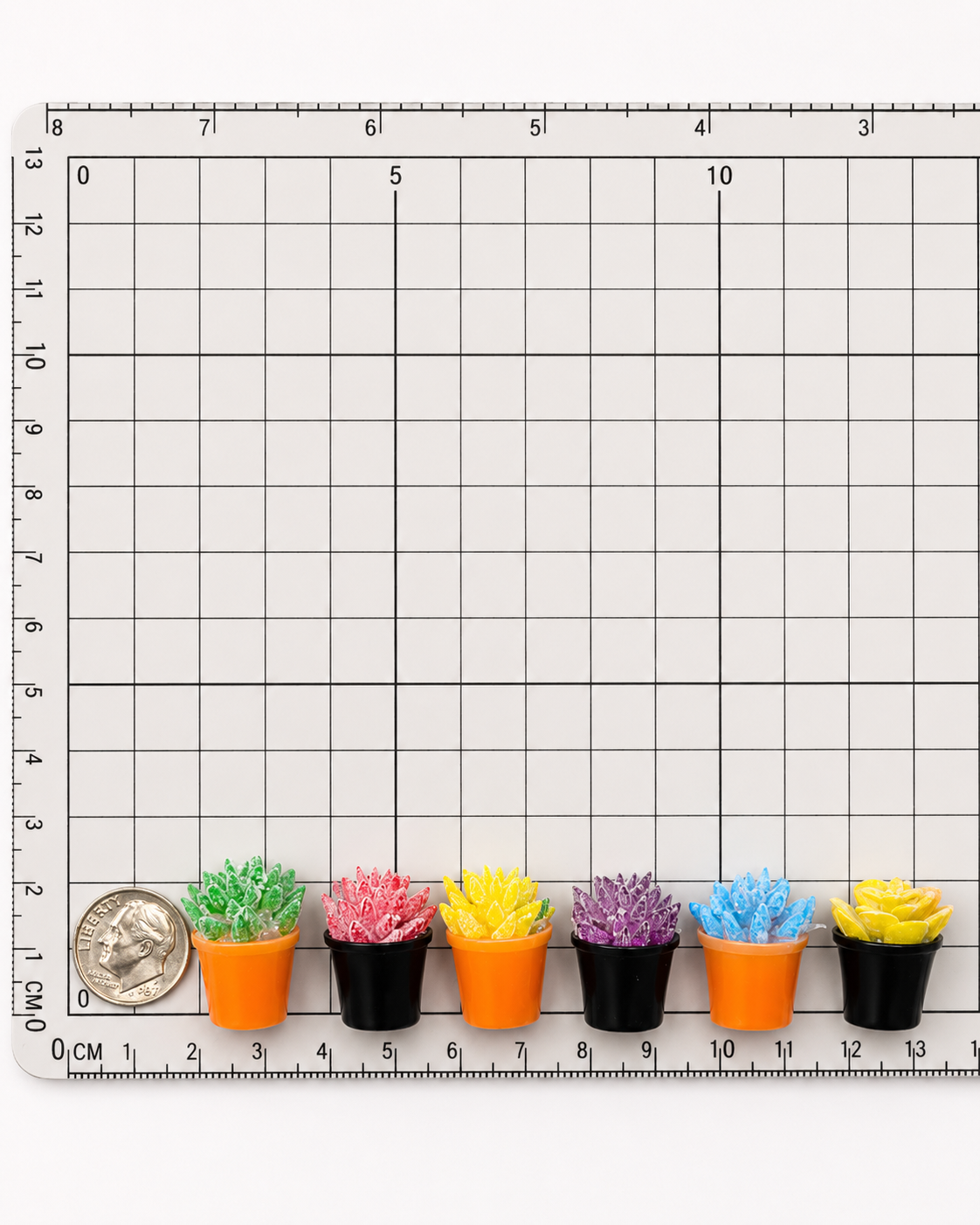 A Miniature Succulent Garden Set (6-Piece)